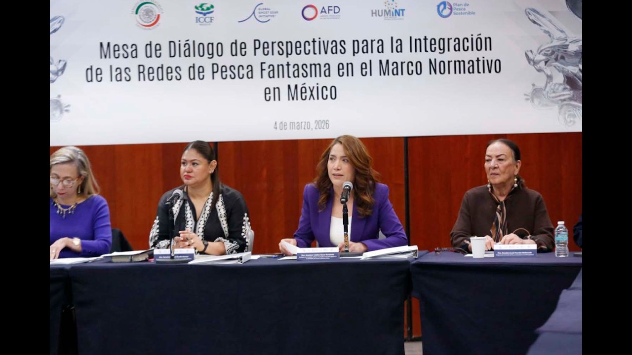 Senadora Ivideliza Reyes Hernández: artes de pesca fantasma en legislación de la Comisión de Pesca