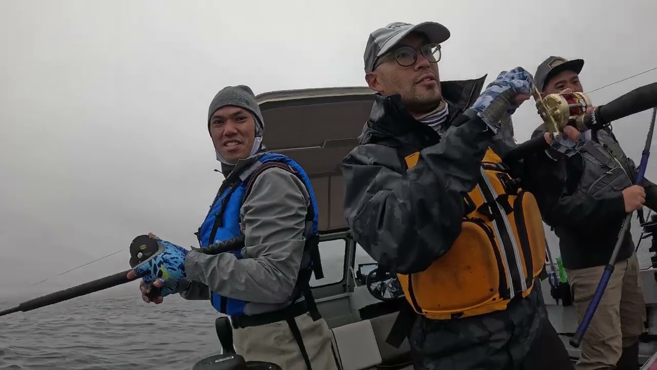 Ling Cod Action with LIVE BAIT