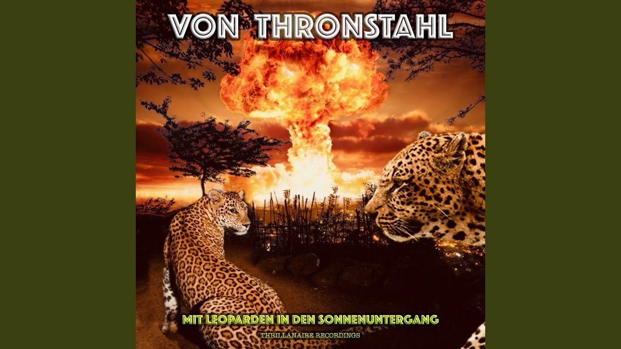 Mit Leoparden In Den Sonnenuntergang