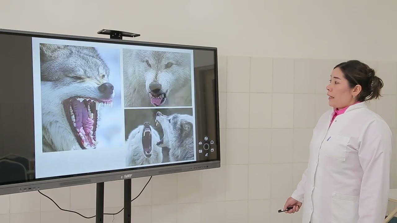 Quturish. Etiologiyasi, epidemiologiyasi, klinikasi, tashxisoti, davolash usullari, profilaktikasi