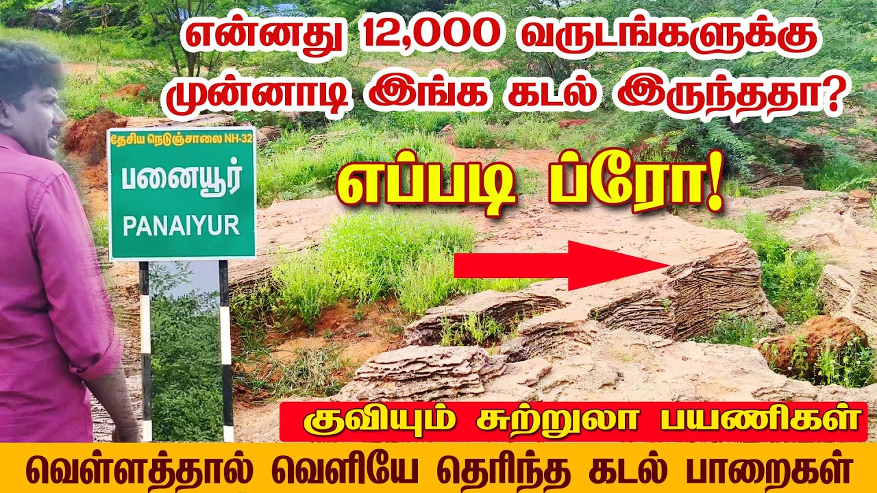 இதெல்லாம் கடல் இருந்த இடமா? | panaiyoorthoothukudi