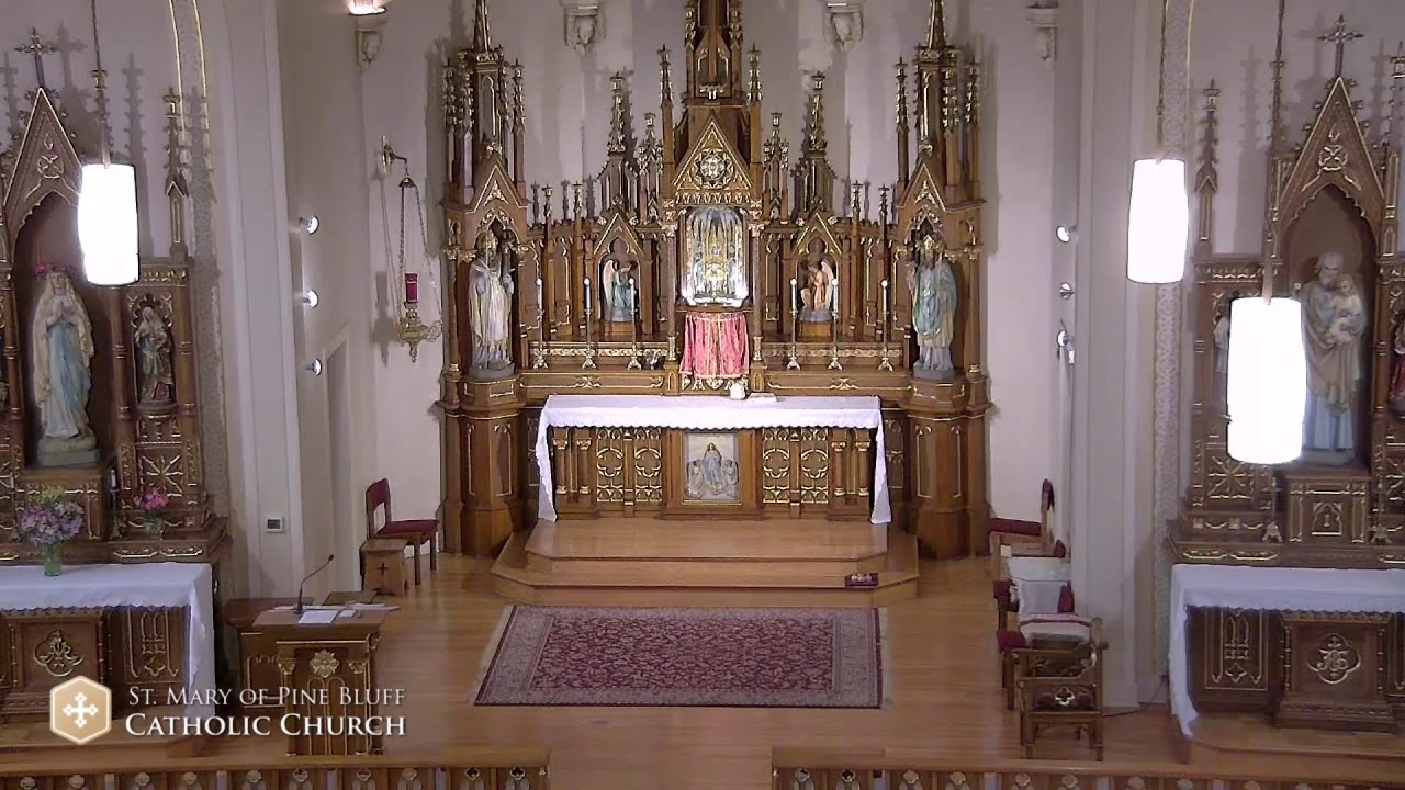 Daily Mass with Fr. Richard Heilman for June 28, 2023
