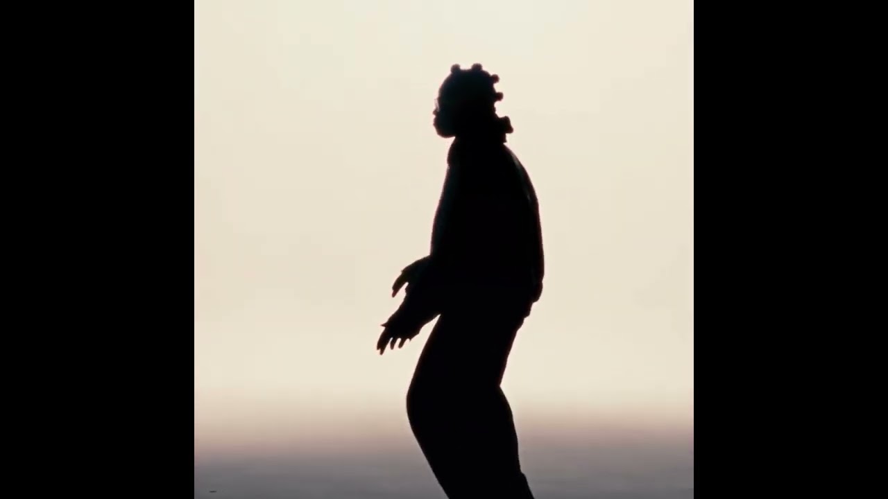 REMA x BURNA BOY Type beat "Lost"