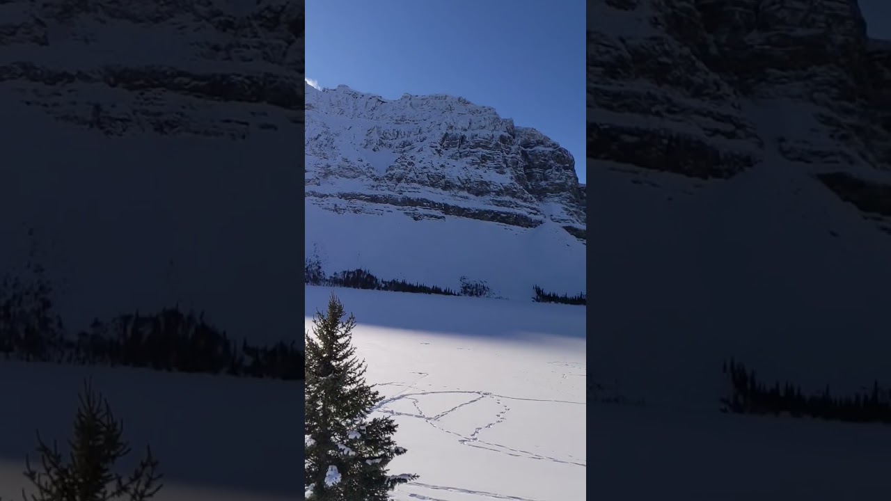 Bow lake in winter #alberta #canada #naturephotography #winterwonderland #winter #nature #frozenlake