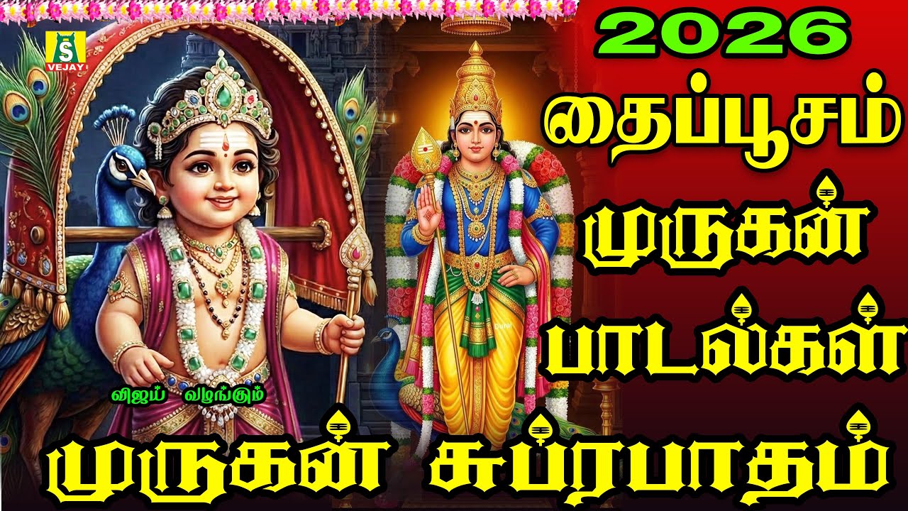 2026 தைப்பூசம் சிறப்பு முருகன் பாடல்கள் வேண்டும் வரம் தரும் முருகன் பாடல்கள் முருகன் சுப்ரபாதம்