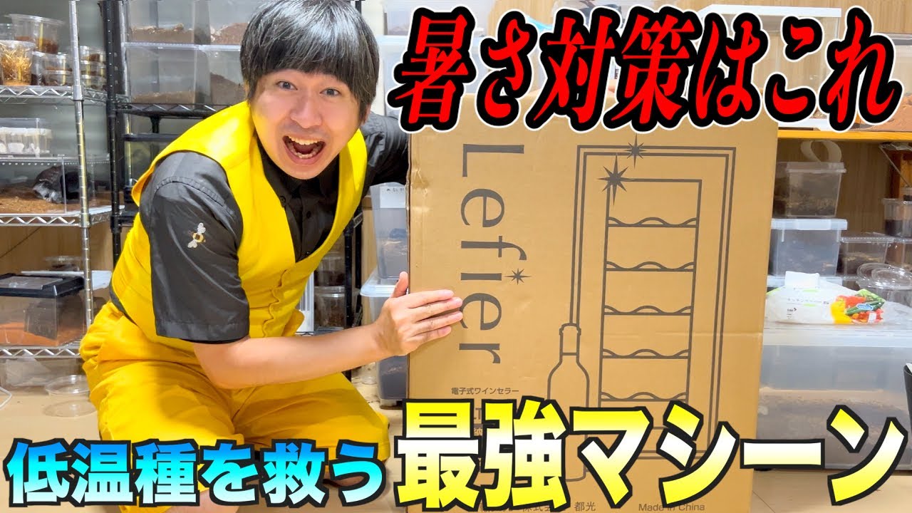 ペットのムカデが大ピンチなので最強アイテムを導入します！！！