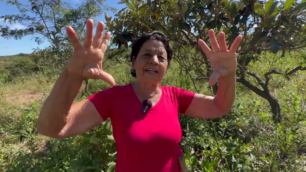 AS PLANTAS MEDICINAIS COM DONA LO - VEREDINHA MG