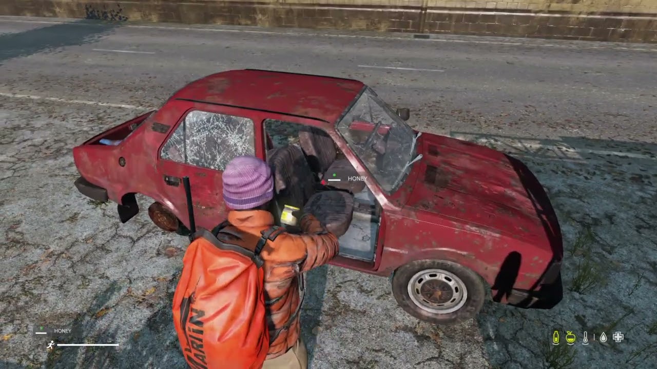 DayZ_new update an it sucks