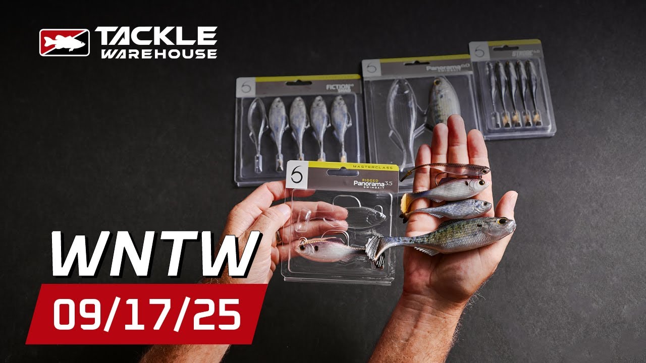 TONS of NEW 6Th Sense! 🔥Exciting Products From Boat Drip🔥Plus JDM Buzzbaits & Creature Baits