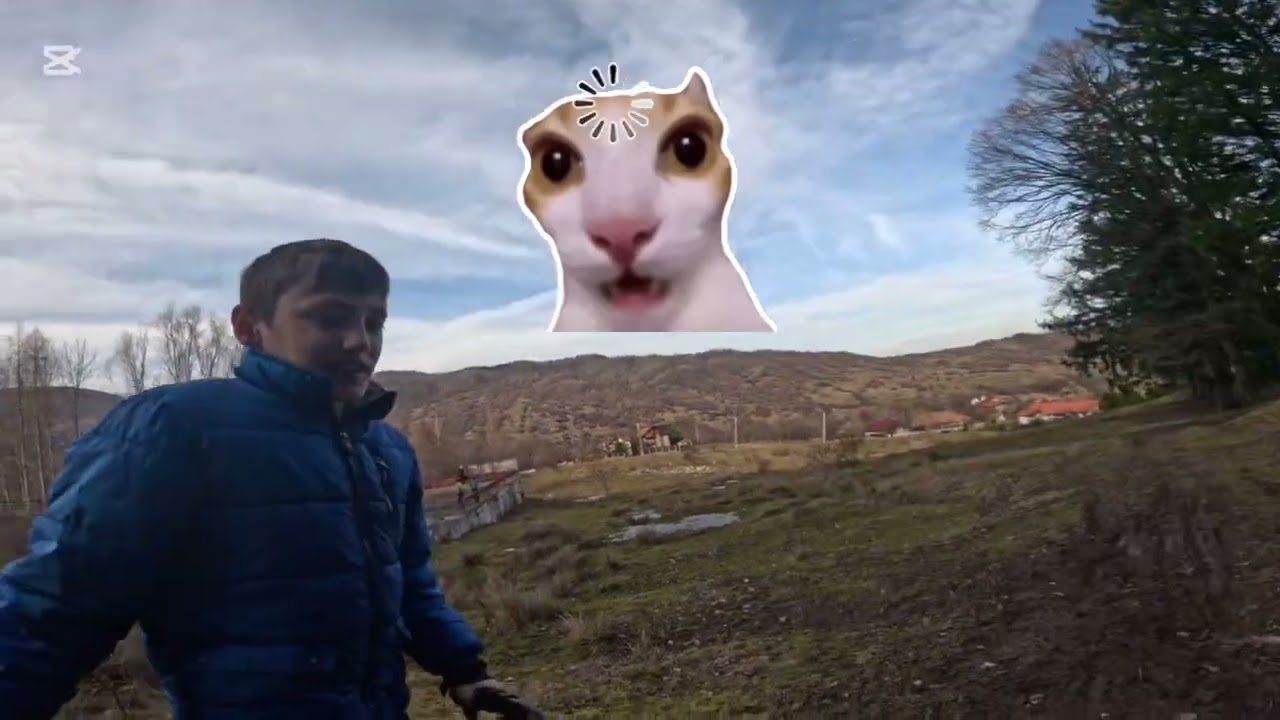 Cu gabi :)))
