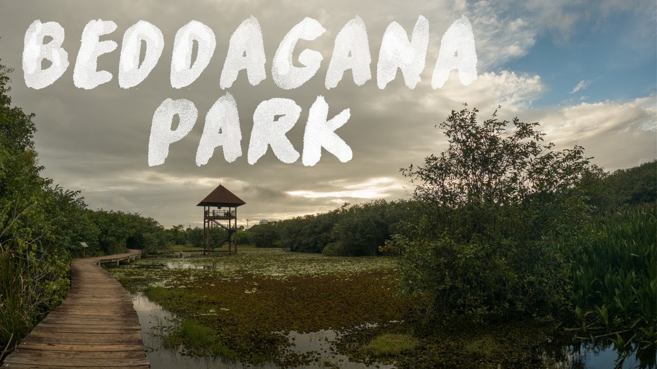 Beddagana Wetland Park | Sri Lanka (Cinematic Tour with Sunset)