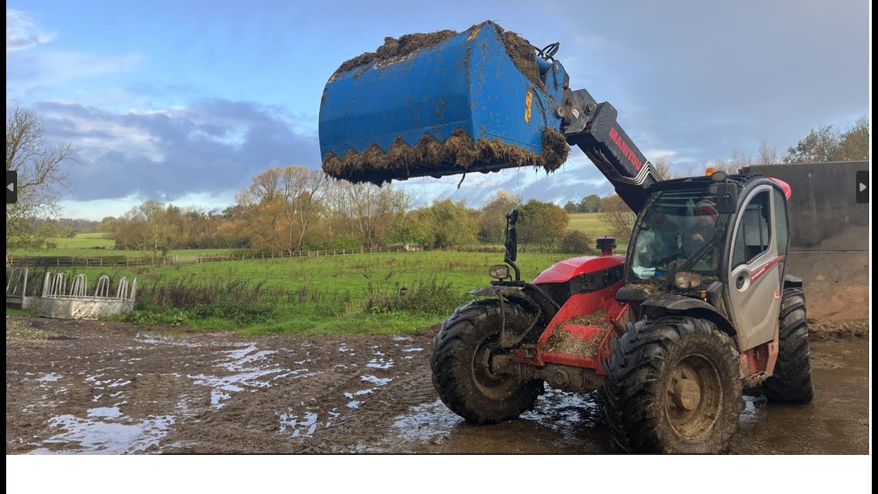 #WhitesDifference - Shear Grabs