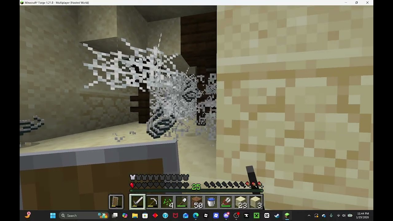 DAY 16 OF MINECRAFT: DONKEY AND HORSES