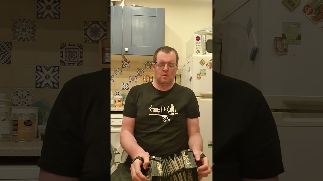 Geese in the bog jig - concertina