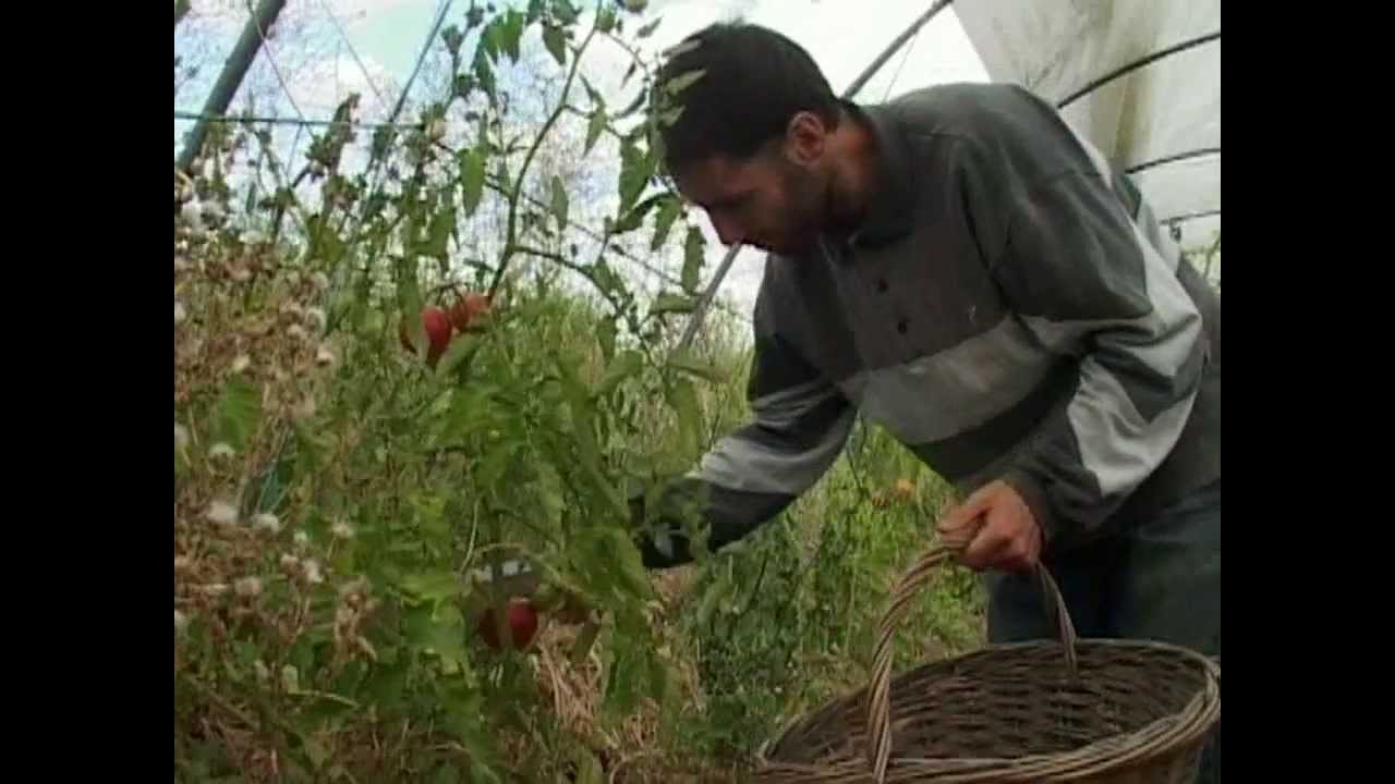 PERMACULTURE AU PETIT COLIBRI LE FILM