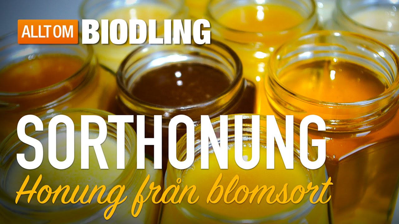 Sorthonung - Honung från blomsort