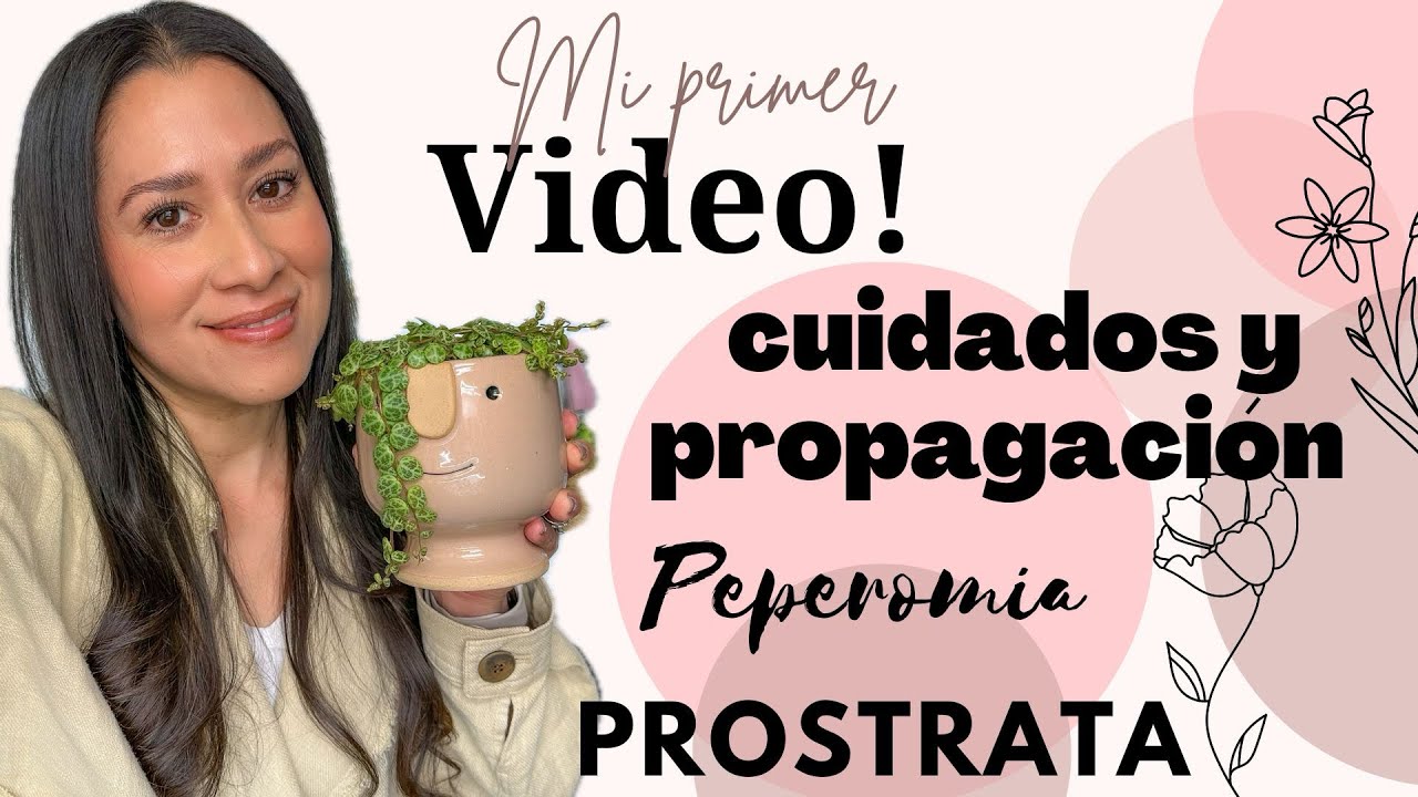Quien soy? | Cuidados y propagación de Peperomia Prostrata