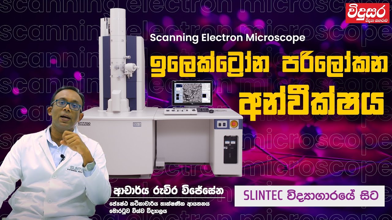 Scanning Electron Microscope | ඉලෙක්ට්‍රෝන පරිලෝකන අන්වීක්ෂය