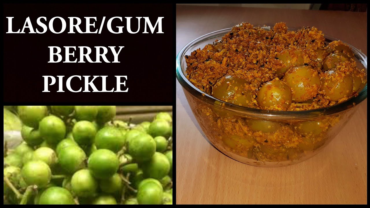 Gunda Pickle | राजस्थानी लसोडे का चटपटा - मसालेदार अचार बनाने का सही तरीका/मारवाड़ी गुंदे का अचार