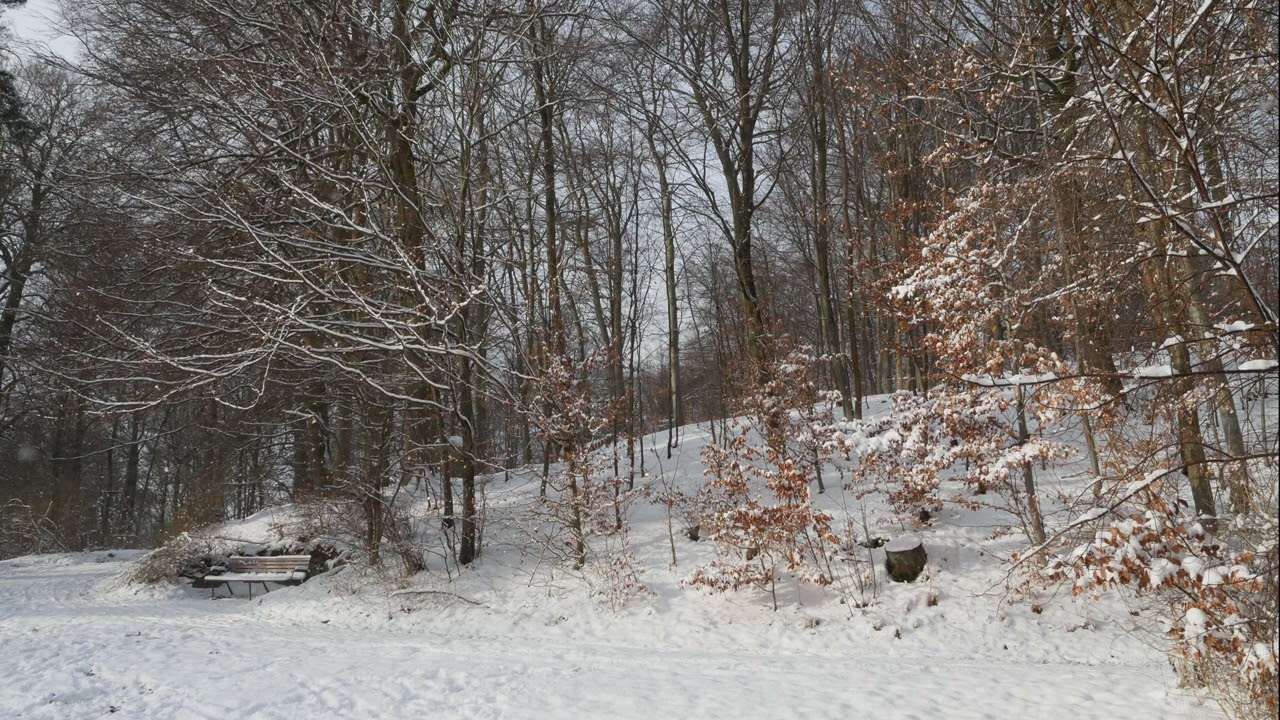 A Seat in the Falling Snow