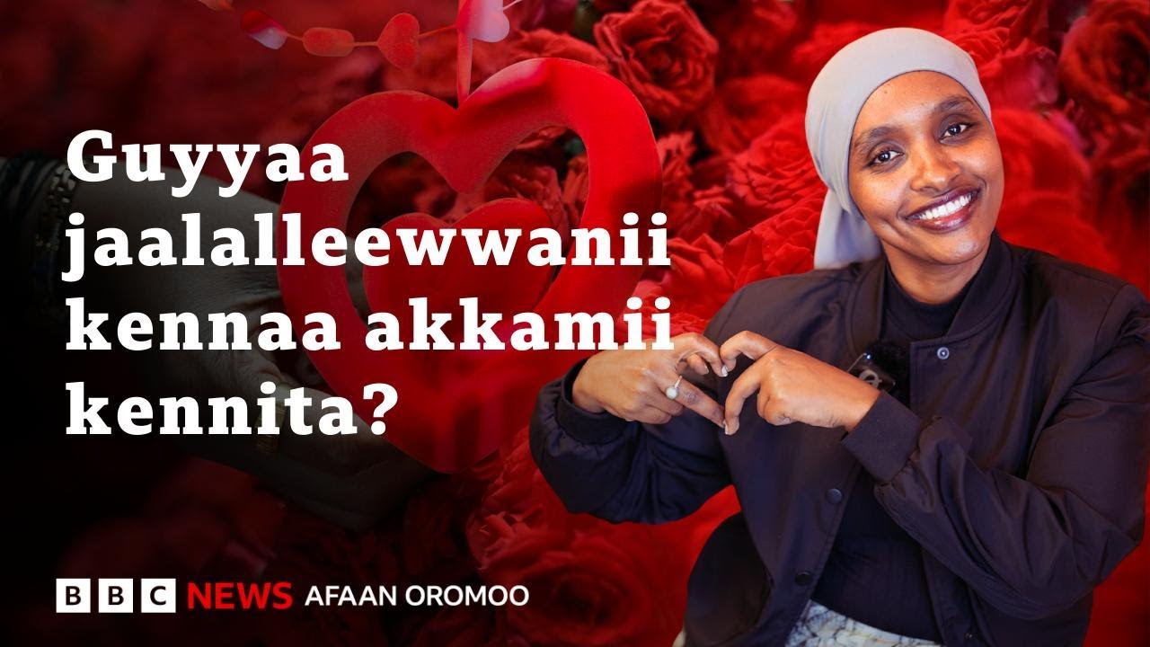 Qarshii akka abaabootti mammartee jaalallee keetiif kennitee beektaa? | BBC News Afaan Oromoo