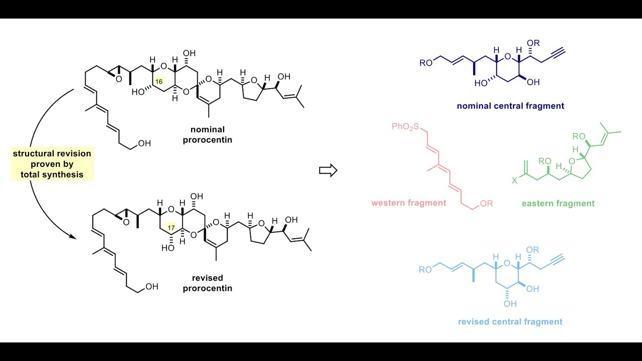 Total Syntheses of Nominal and Actual Prorocentin with Dr. Raphael Zachmann