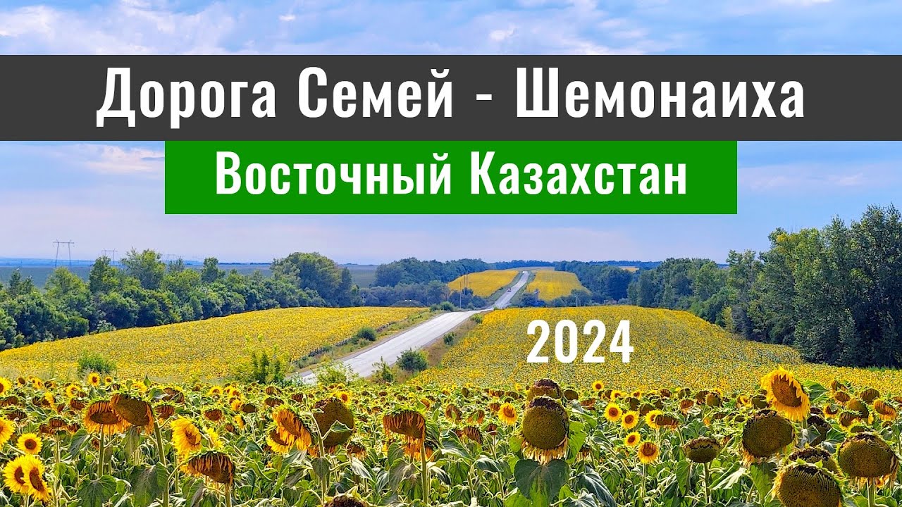 Дорога Шемонаиха - Бородулиха - Семей. Восточный Казахстан. Дороги Казахстана, 2024 год.