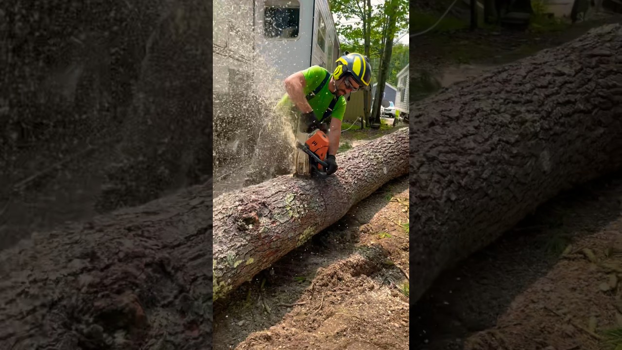 My favorite Chainsaw! 500i