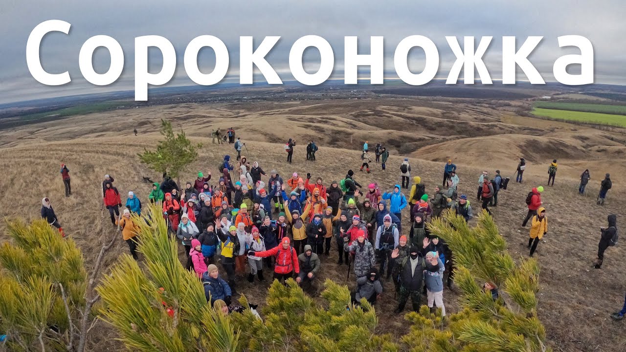 Восьмая Сороконожка. 11.11.2023