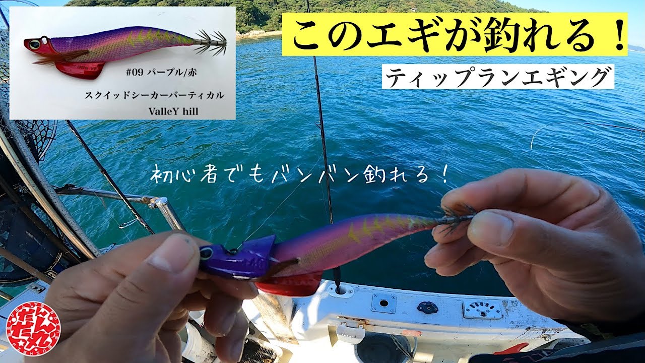 【ティップランエギング】初心者でもバンバン釣れる！このエギが超オススメ