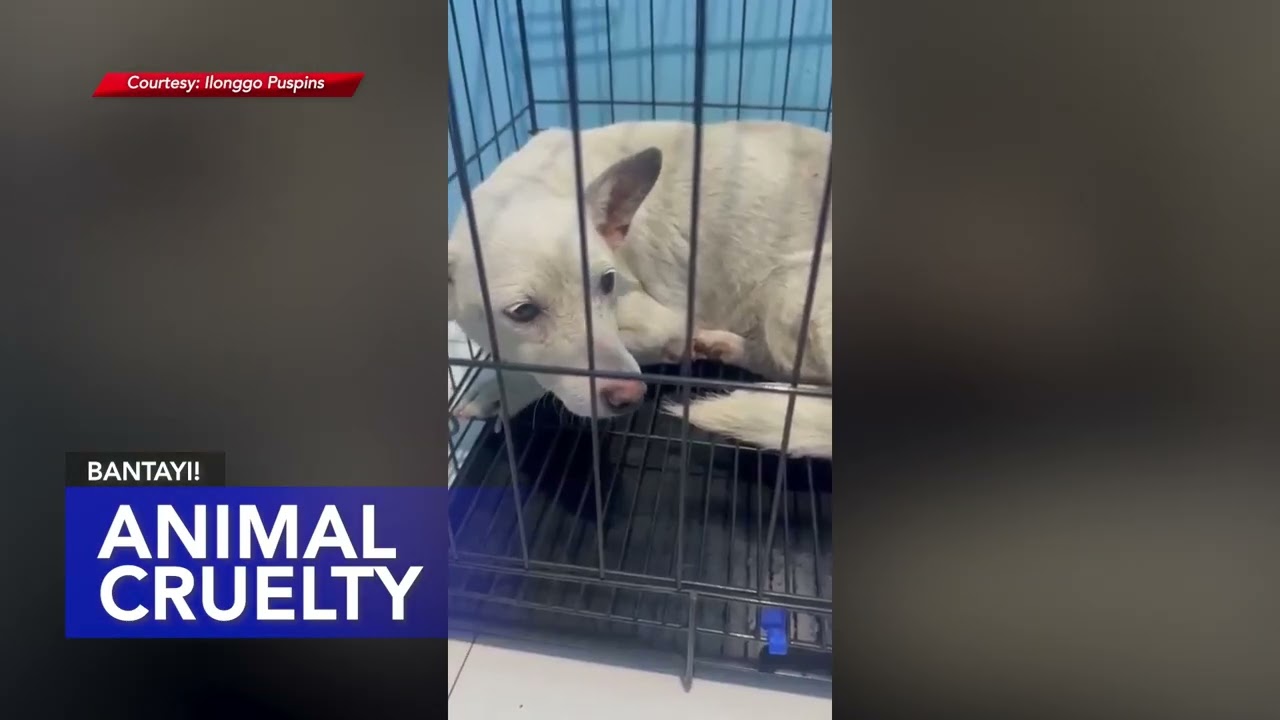 Mga balita nga aton tutukan karon sa One Western Visayas, January 9, 2026