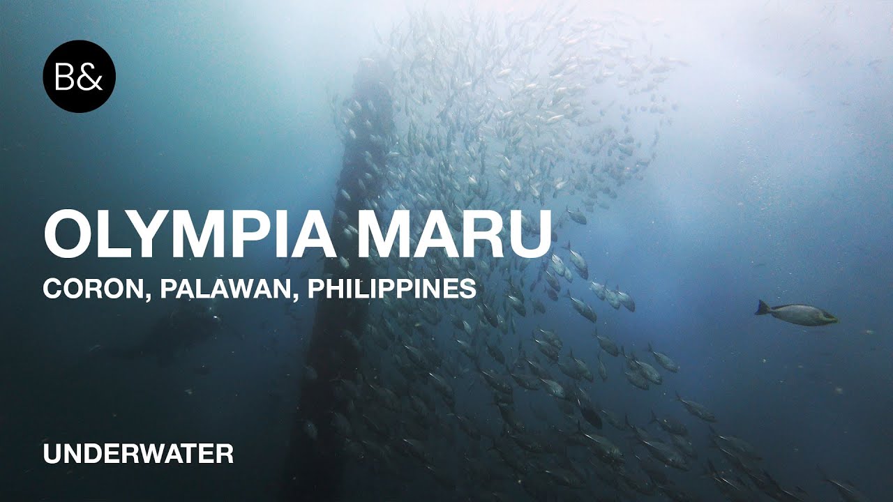 Exploring the Wreck of Olympia Maru | Scuba Diving in Coron, Philippines | @bagusnbirawan