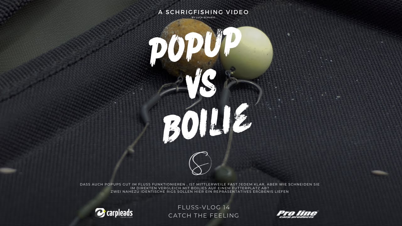 Fluss-Vlog 14 -  PopUp vs Boilie im Fluss - Karpfenangeln im Sommer - Karpfenangeln 2024 neu