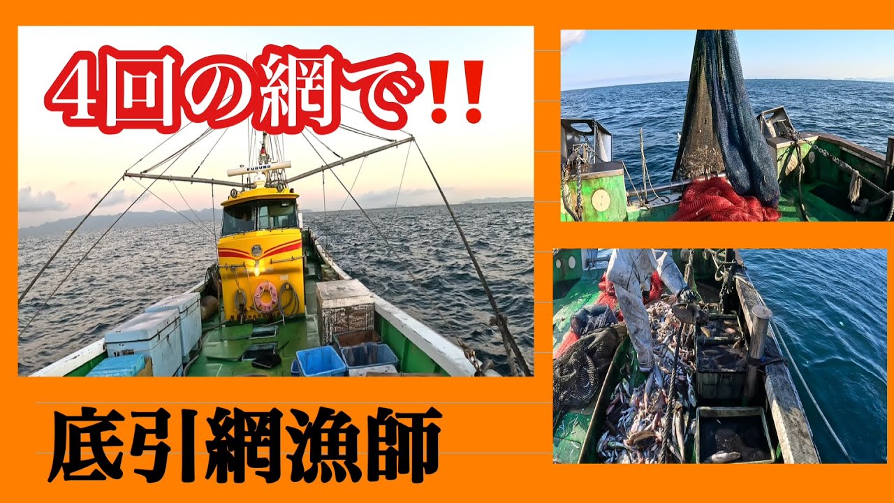今年エグい‼️イカ狙いで4回底引網を引いたら‼️【和歌山県】漁港が活活気付Anyway, there are a lot of squid this year! Japan's oceans