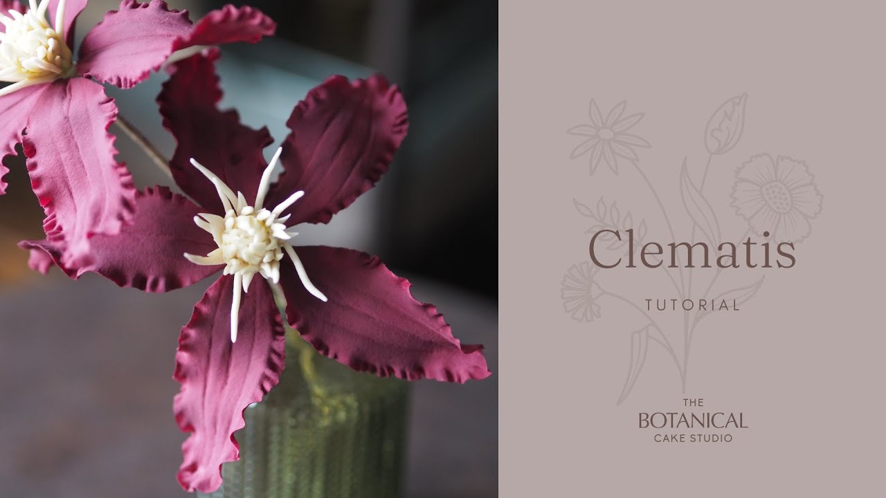 Clematis Sugar Flower Tutorial (Gumpaste / Flower Paste)