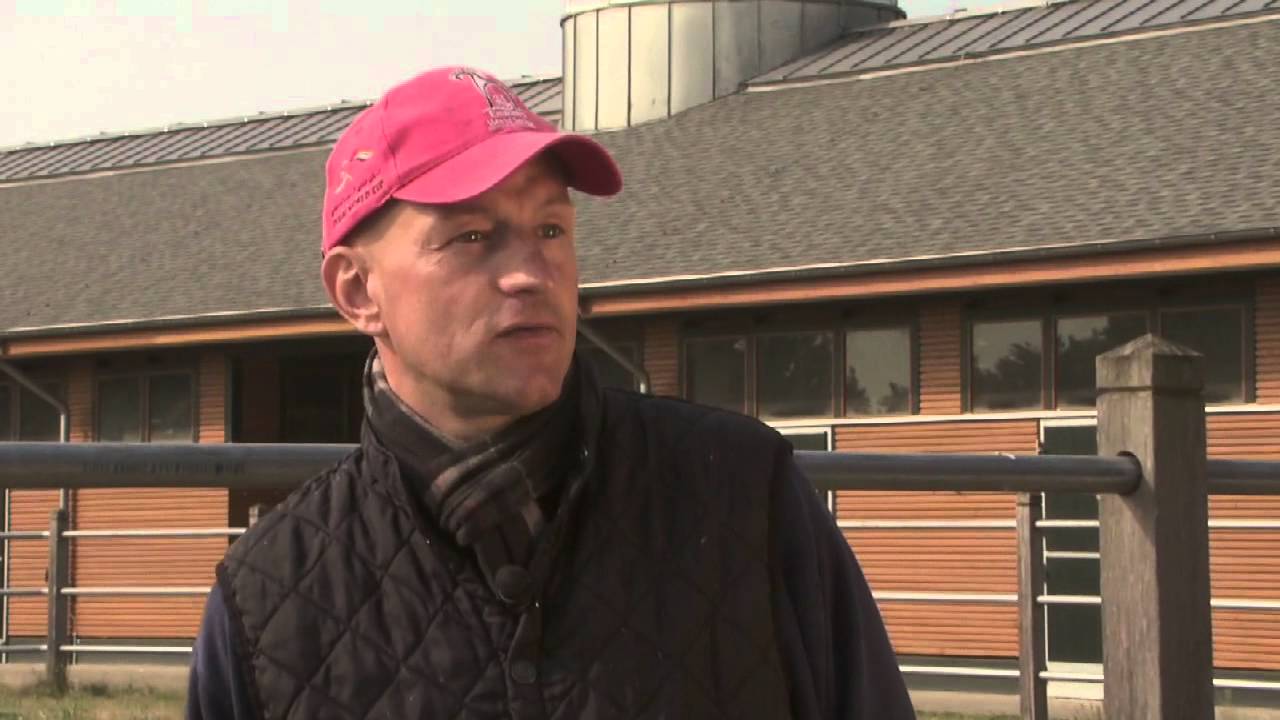 Stallcheck bei Jens Hirschberger - pferdewetten.de