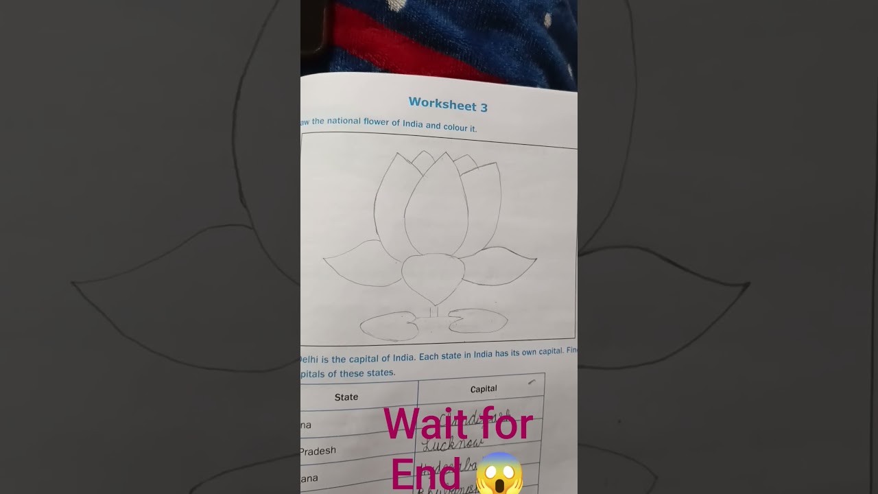 How to draw a lotus flower 