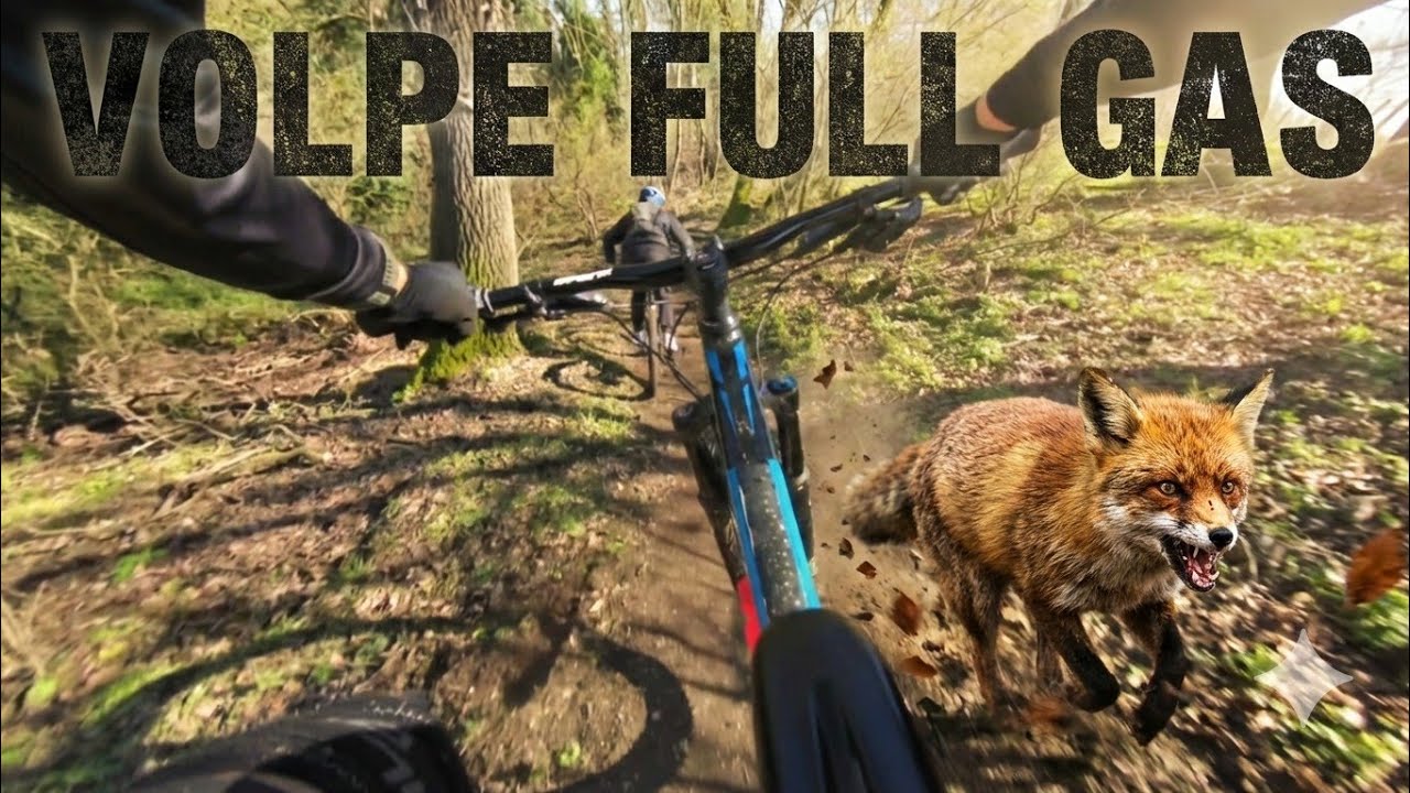 Formello MTB - Volpe 2026 inseguendo @freed6888 - GoPro Hero 6 Black+ Gyroflow 