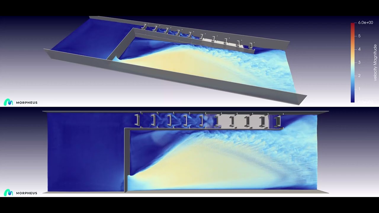 Morpheus Fluid: Fish Ladder Simulation