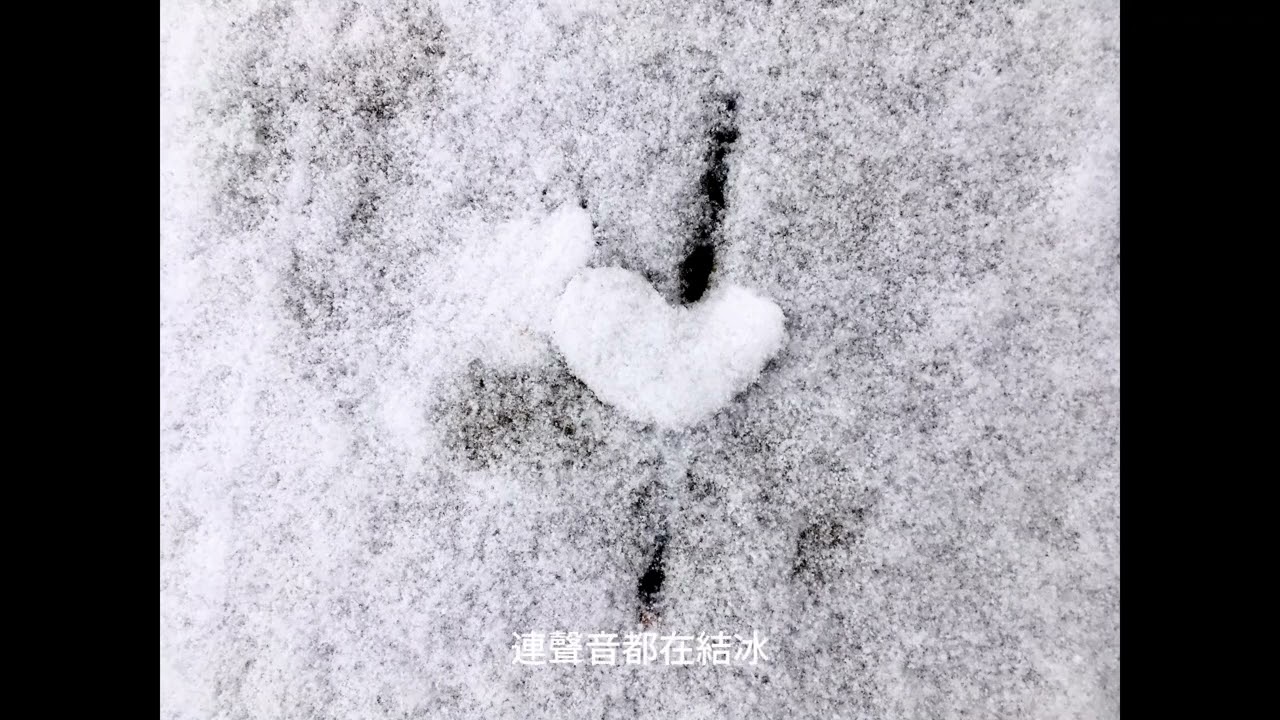 空白的日子