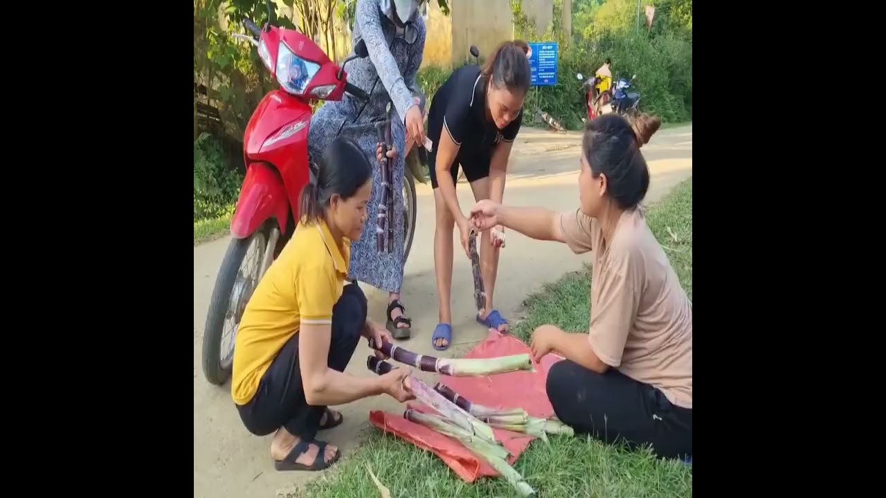 Simple Daily Life of a Mother Managing Work and Home