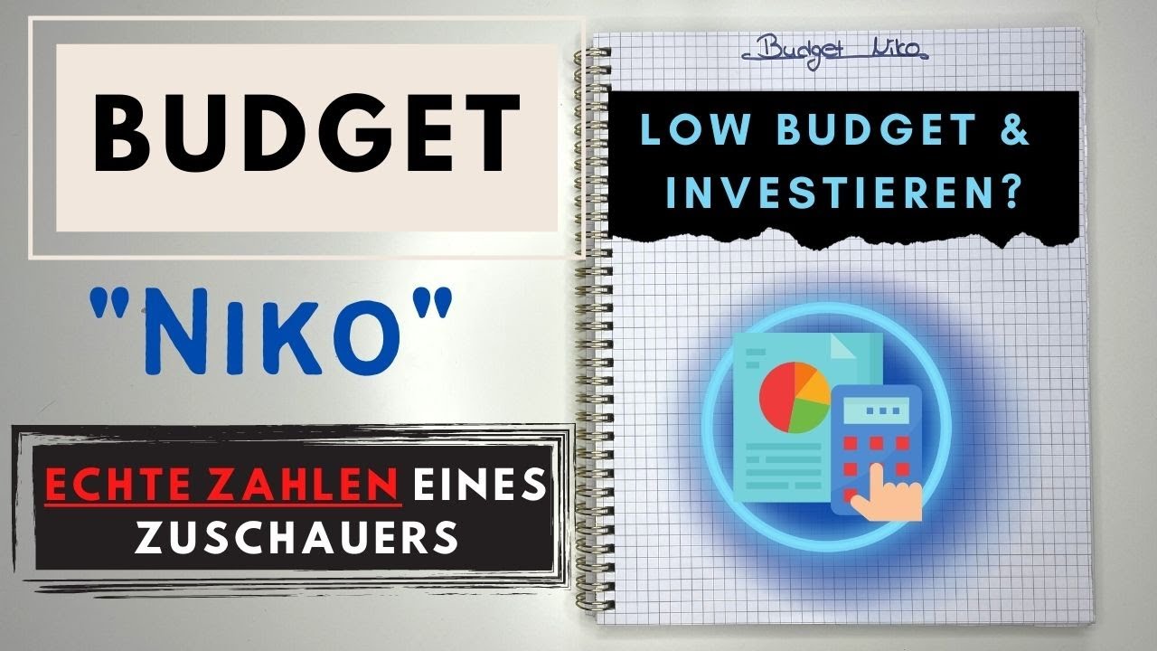 Budget Niko I Echte Einnahmen & Ausgaben eines Zuschauers