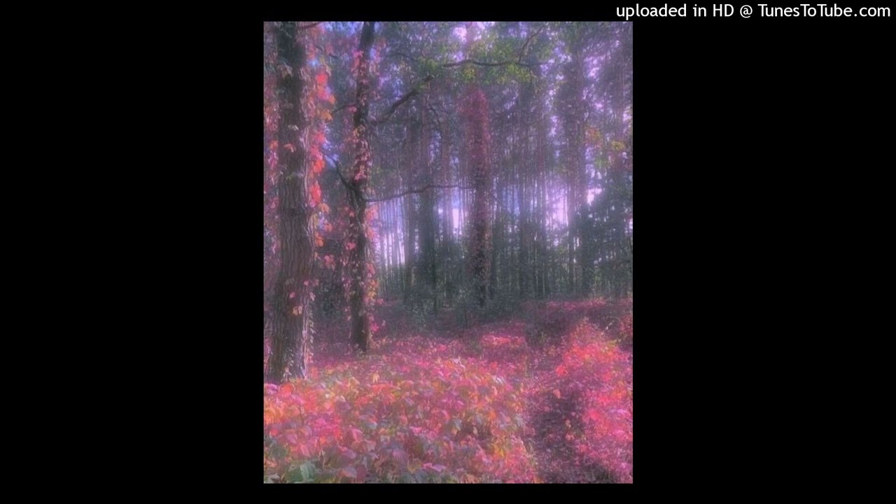 [FREE] Ambient Trap + Experimental Type Beat "685" @dbforever