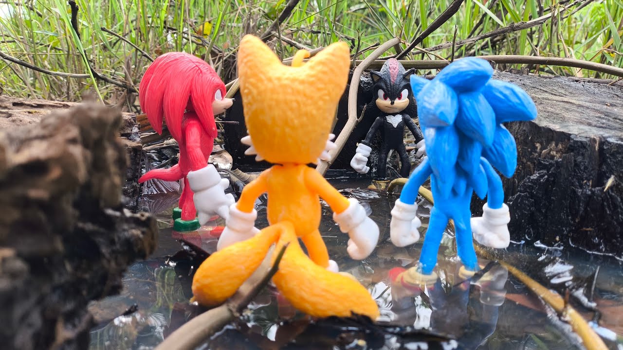 Sonic Hedgehog, Sonic Shadow, Knuckles, Tails, Metal Sonic, Super Sonic, Metal Sonic, Super Shadow