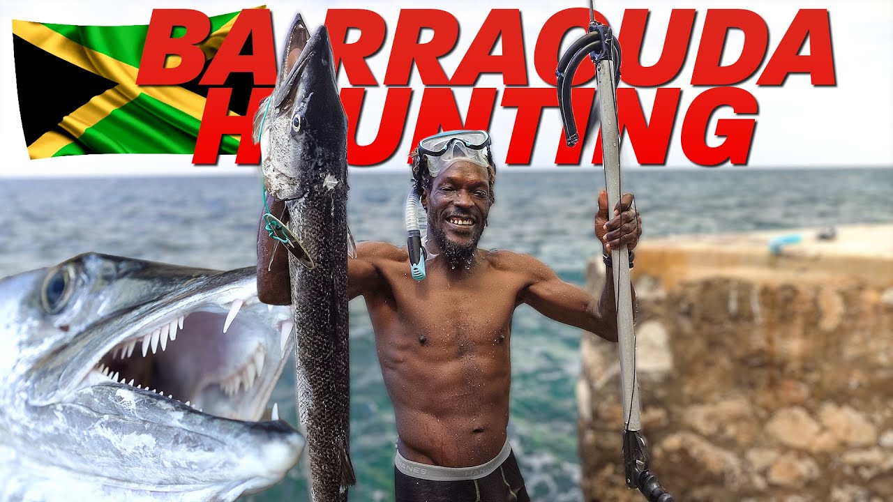 Monster Hunter: Spearfishing for a Giant Barracuda in Jamaica