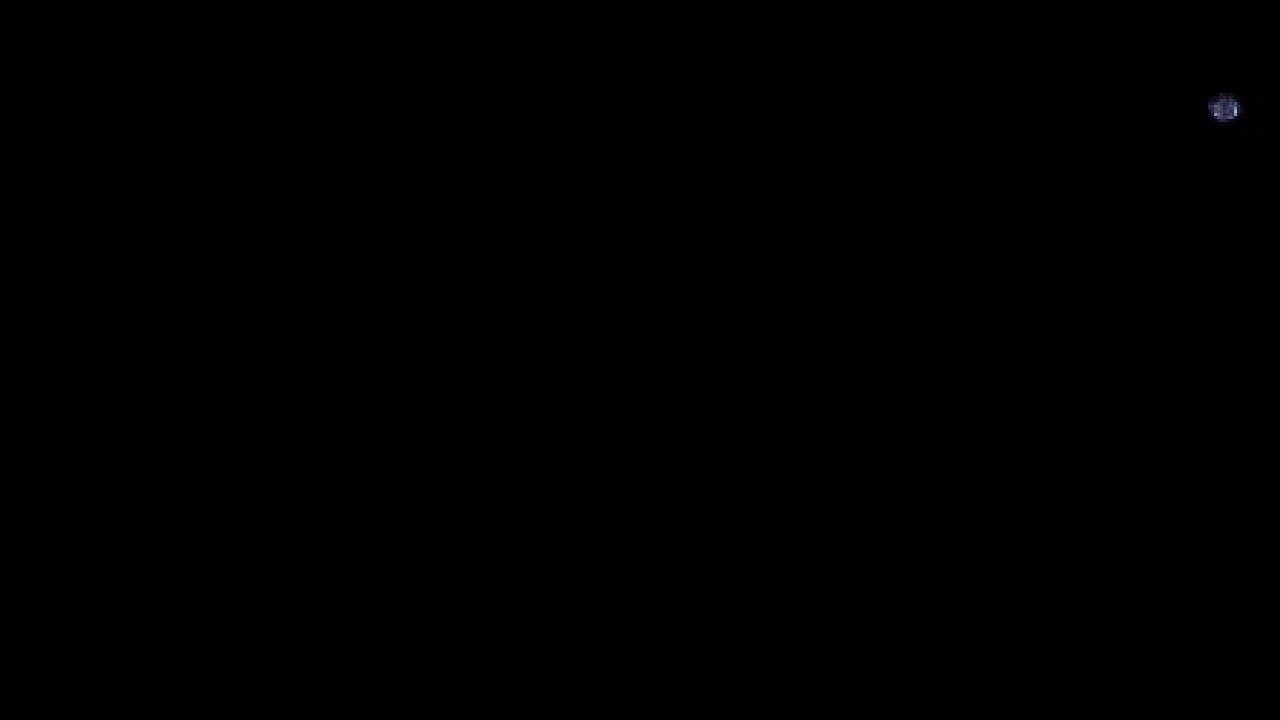 常夜ハルモニア　野良キャリー