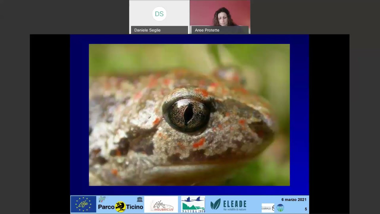 Webinar: Life Insubricus formazione volontari