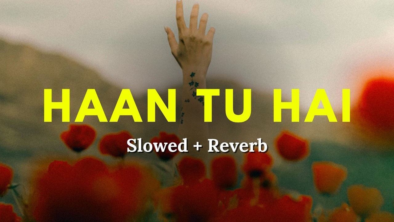 Haan Tu Hai (Slowed + Reverb) | RAAG DROPZ | Shera | Vishal Mishra | Parmish Verma | Sonal Chauhan