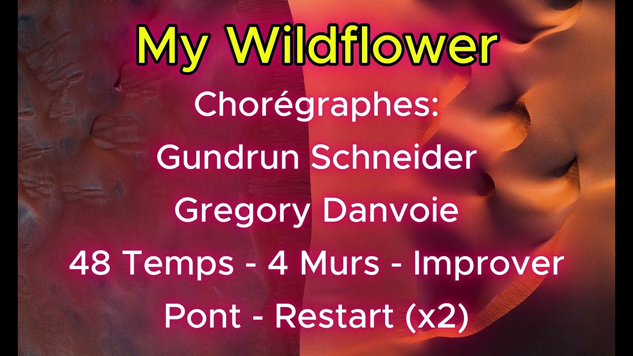 My Wildflower -Line Dance-Démo-Teach 