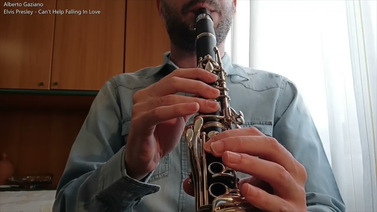 Elvis Presley - Can't Help Falling In Love (Clarinet)